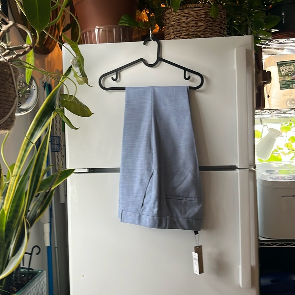 Banana Republic blue Ryan pants